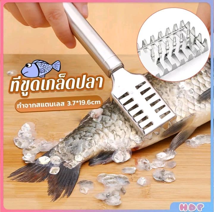 ที่ขูดเกล็ดปลา ที่ขอดเกล็ดปลา สแตนเลส เครื่องใช้ในครัว Fish scale scraper (รับ4,650แต้ม)