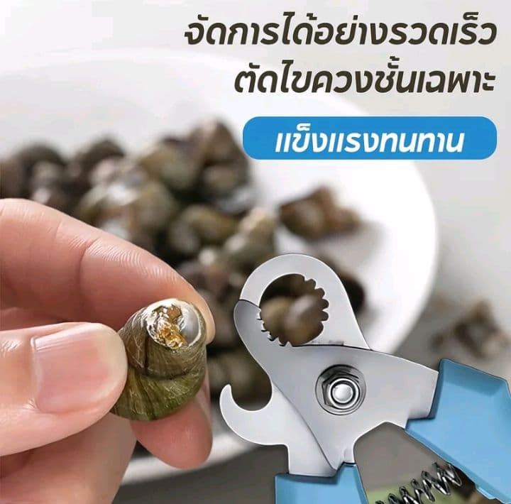 ที่ตัดก้นหอย ใช้เปิดฝาขวดได้อีกด้วย กรรไกรตัดหางหอยทากสแตนเลส เครื่องมือถอด หางหอยทากเปลือก เครื่องมืออาหารทะเลที่เปิดขวด (รับ5,700แต้ม)