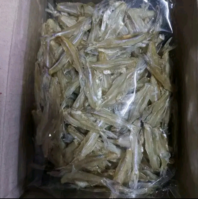 ใส้ตัน ปลาตากปลาแห้ง ไม่เค็ม(รับ15,000แต้ม)