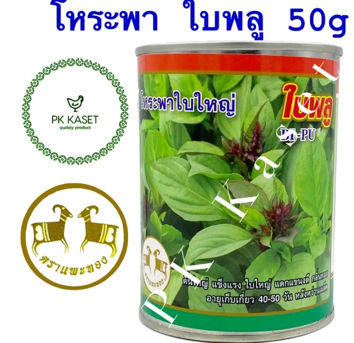 เมล็ดโหระพาใบใหญ่ใบพลู ตราแพะทอง 50 กรัม(รับ 8,750 แต้ม)