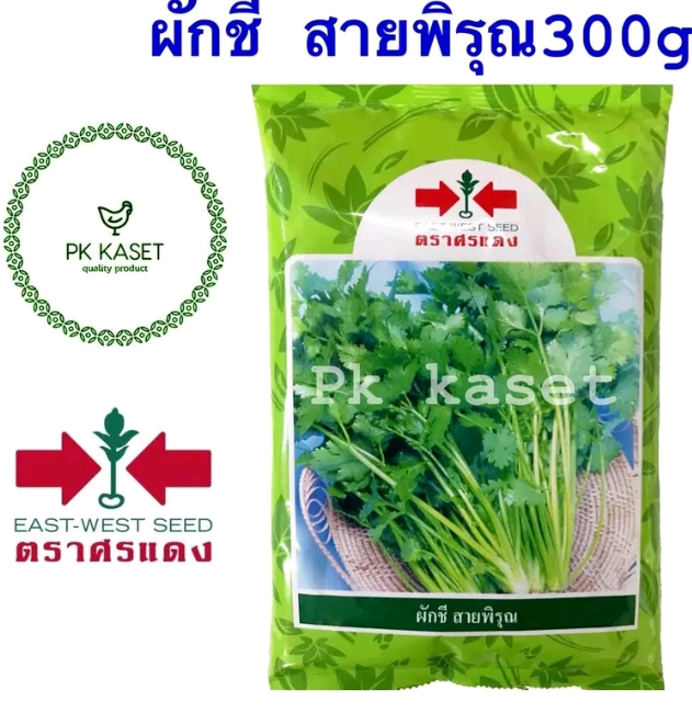 เมล็ดผักชีสายพิรุณตราศรแดง 300 กรัม(รับ 8,500 แต้ม