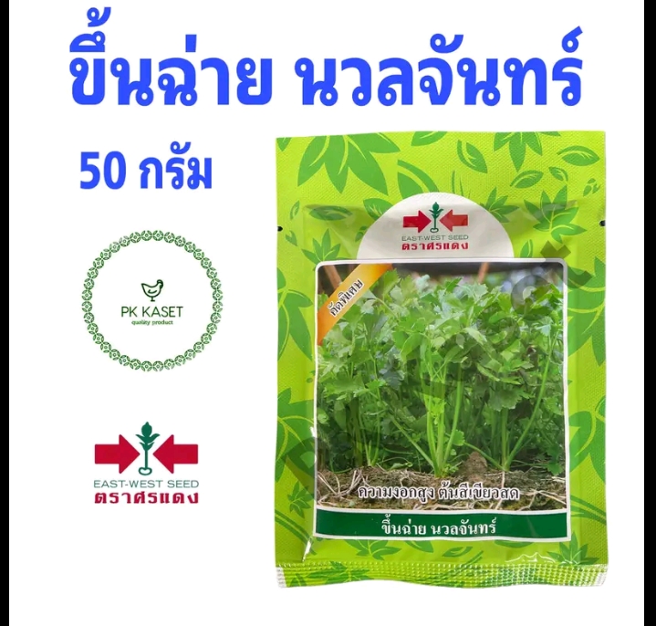 เมล็ดขึ้นฉ่าย นวลจันทร์ 50 กรัมตราศรแดง(รับ10,750 แต้ม)