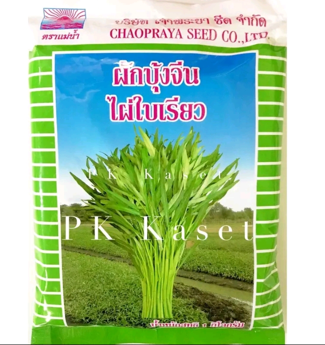 เมล็ดผักบุ้ง ไผ่ใบเรียวตราแม่น้ำ 1 กิโลกรัม(รับ12,750 แต้ม)