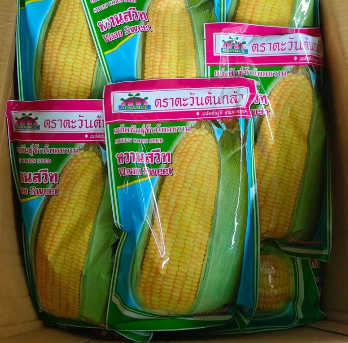 เมล็ดข้าวโพดหวานสวีท500กรัม(รับ11,250แต้ม)