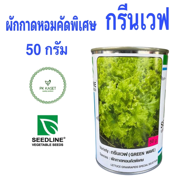 เมล็ดผักกาดหอมคัดพิเศษ ผักสลัดกรีนเวฟ50กรัม(รับ11,250แต้ม)