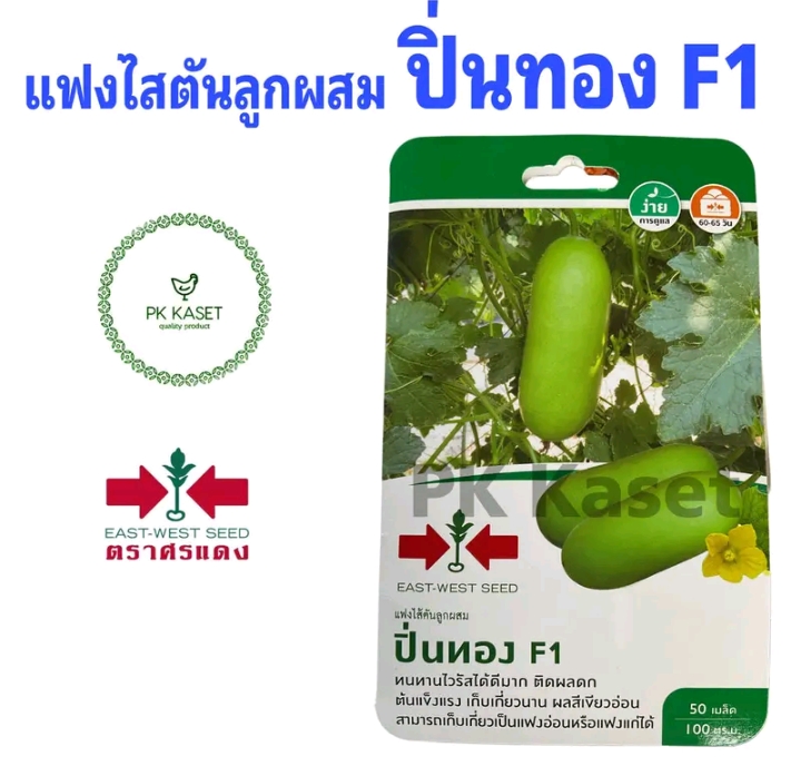 เมล็ดแฟงไส้ตันลูกผสมปิ่นทอง(รับ5,750แต้ม)