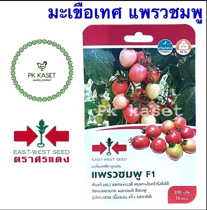 เมล็ดมะเขือเทศแพรวชมพู200เมล็ด(รับ5,750แต้ม)