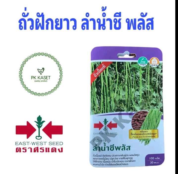 เมล็ดถั่วฝักยาวลำน้ำชี พลัส100เมล็ด(รับ5,750แต้ม)