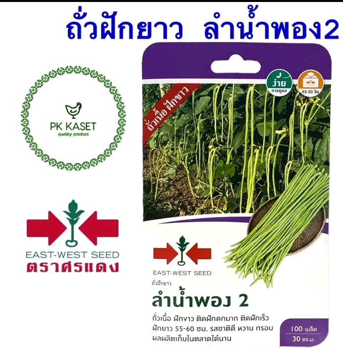 เมล็ดถั่วฝักยาวลำน้ำพอง100เมล็ด(รับ5,750แต้ม)