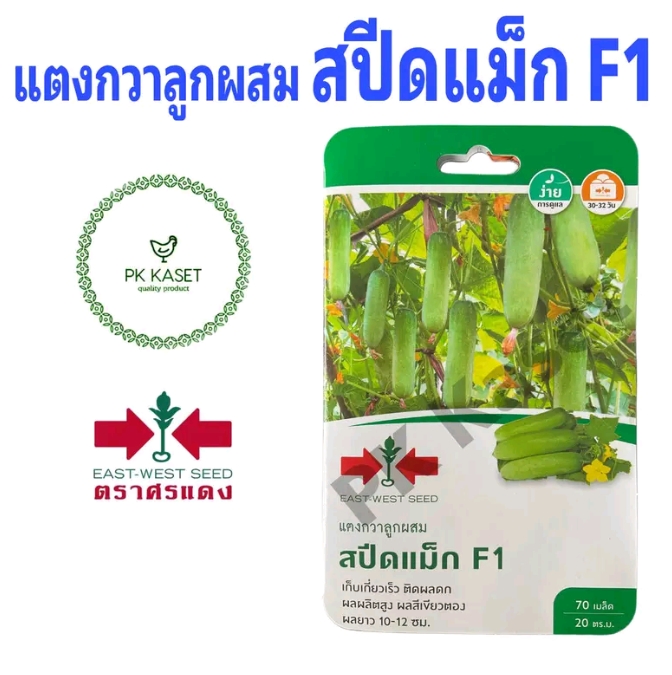 เมล็ดแตงกวาลูกผสม สปีดแม็ก70เมล็ด(รับ5,750แต้ม)