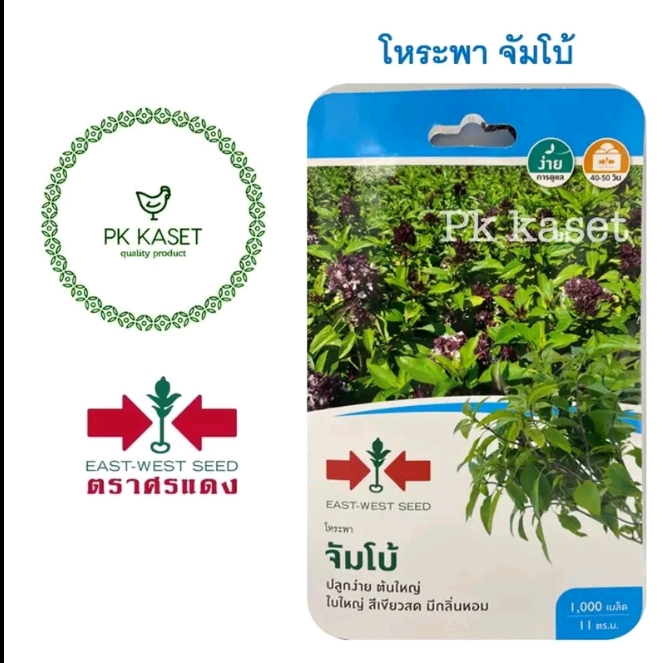 เมล็ดโหระพา จัมโบ้1000เมล็ด(รับ5,750แต้ม)