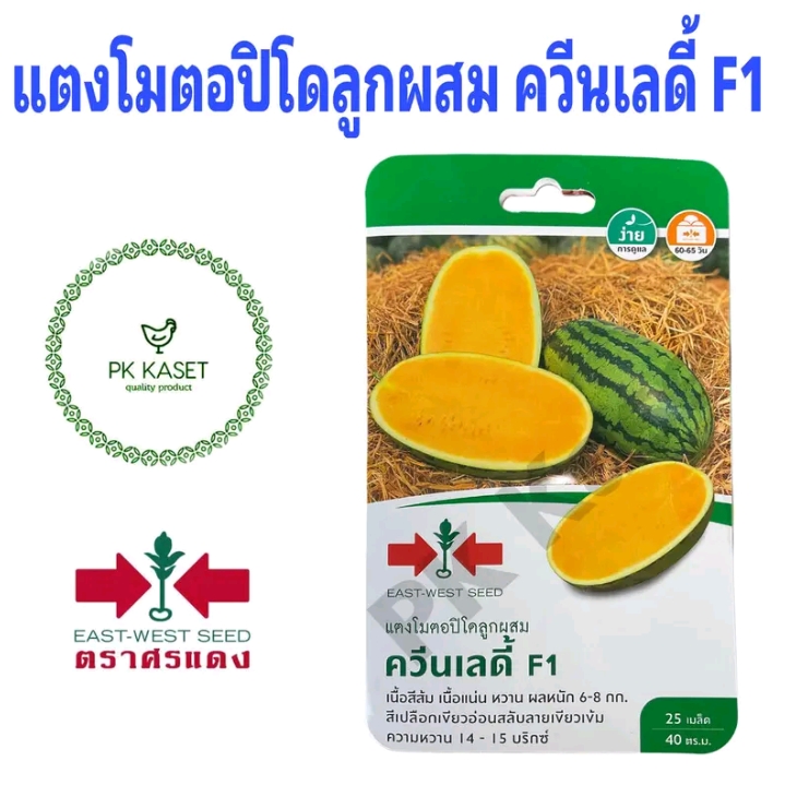 เมล็ดแตงโมตอปิโดลูกผสมควีนเลดี้25เมล็ด(5,750แต้ม)
