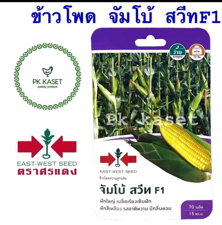 เมล็ดข้าวโพดจัมโบ้สวีท70เมล็ด(รับ5,750แต้ม)