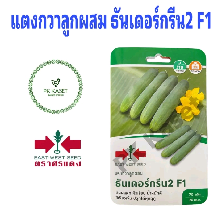 เมล็ดแตงกวาลูกผสม ธันเดอร์กรีน2 มี70เมล็ด(รับ5,750แต้ม)