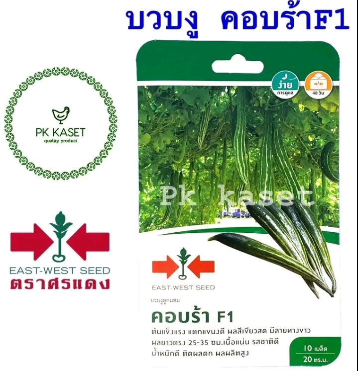 เมล็ดบวบงู คอบร่า10เมล็ด(รับ5,750แต้ม)