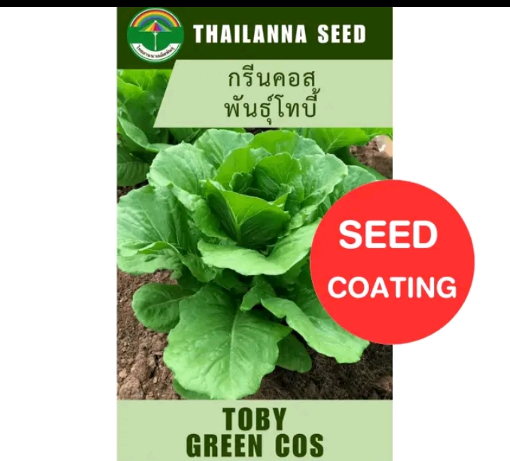เมล็ดพันธุ์ผักสลัด กรีนคอสพันธ์ุโทบี้ 0.25กรัม เมล็ดเคลือบ(รับ5,500แต้ม)