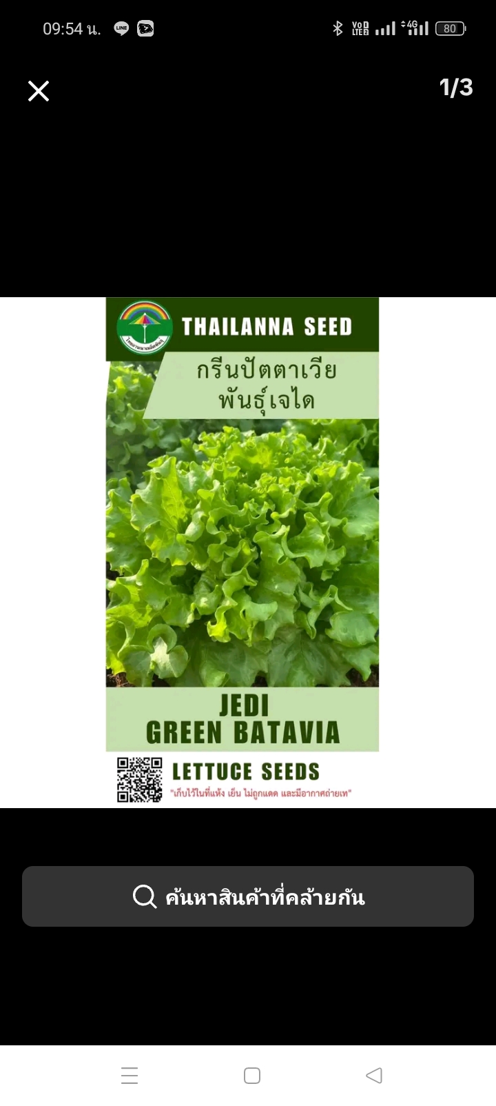 เมล็ดพันธุ์ผักสลัด กรีนปัตตาเวียพันธุ์เจได 0.5กรัม เมล็ดเปลีอย(รับ5,500แต้ม)