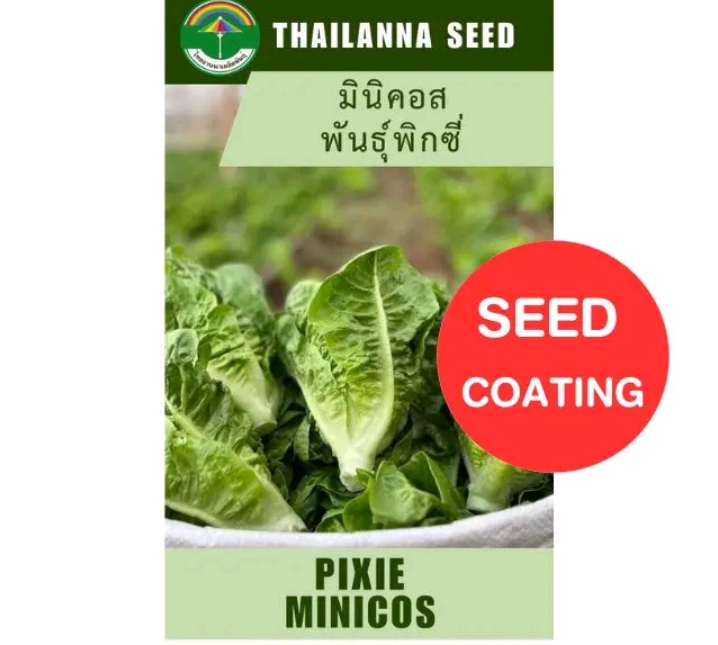 เมล็ดพันธุ์ผักสลัด มินิคอสพันธุ์พิกซี่ 0.25กรัม เมล็ดเปลีอย(รับ5,500แต้ม)