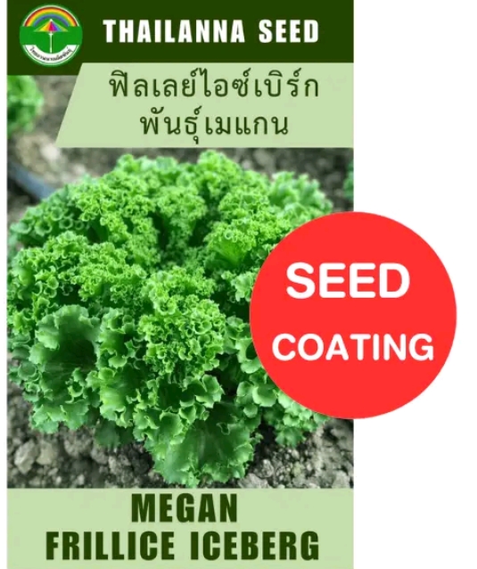 เมล็ดพันธุ์ผักสลัด ฟินเลย์ไอซ์เบิร์กเมแกน0.25กรัม (รับ6,750แต้ม)
