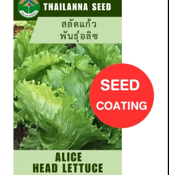เมล็ดพันธุ์ผักสลัด สลัดแก้ว พันธุ์อลิซ0.5กรัม (รับ5,500แต้ม)
