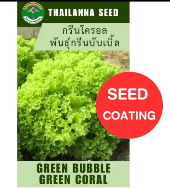 เมล็ดพันธุ์ผักสลัด กรีนโครอลพันธ์ุกรีนบับเบิ้ล0.5กรัม (รับ5,500แต้ม)