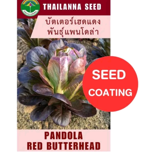 เมล็ดพันธุ์ผักสลัด บัตเตอร์เฮดแดงแพนโดล่า0.25กรัม (รับ6,750แต้ม)