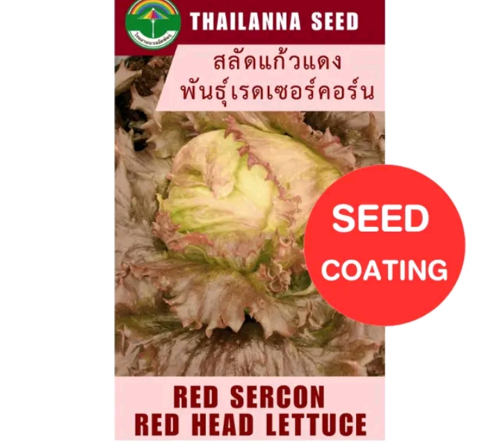 เมล็ดพันธุ์ผักสลัด แก้วแดงเรดเซอร์คอร์น 0.25กรัม (รับ6,750แต้ม)