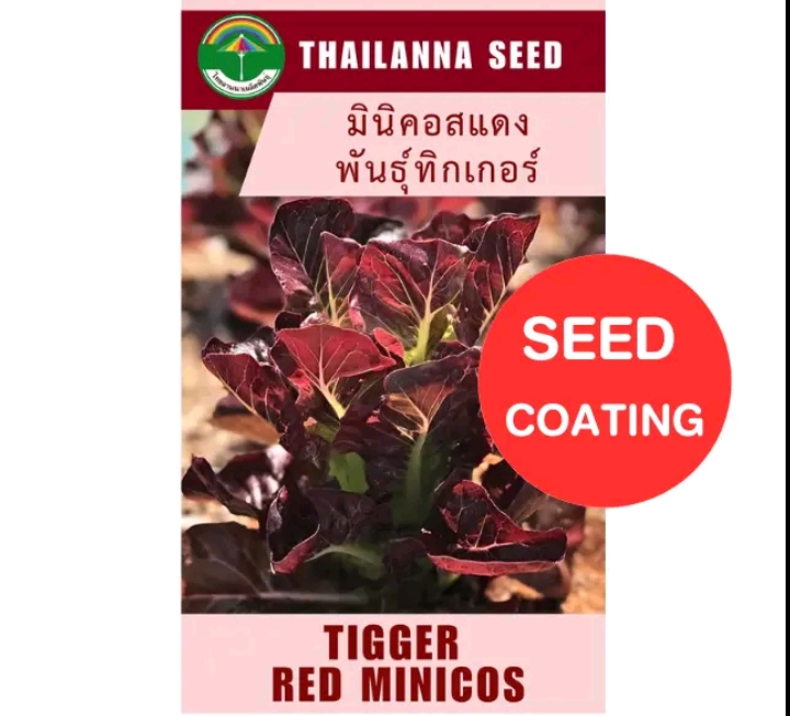 เมล็ดพันธุ์ผักสลัด มินิคอมเรดทิกเกอร์ 0.5กรัม (รับ5,500แต้ม)
