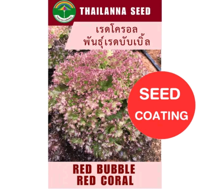 เมล็ดพันธุ์ผักสลัด เรดโครอบเรดบับเบิ้ล 0.5กรัม (รับ5,500แต้ม)