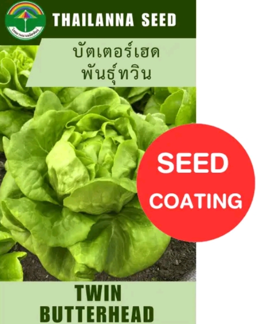 เมล็ดพันธุ์ผักสลัด บัตเตอร์เฮดทวิน 0.5กรัม (รับ6,750แต้ม)