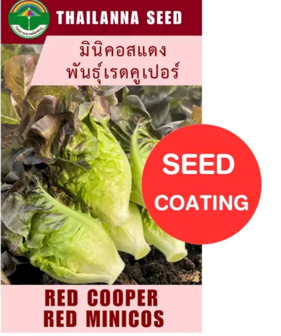 เมล็ดพันธุ์ผักสลัด มินิคอสแดงเรดคูเปอร์0.5กรัม (รับ6,700แต้ม)