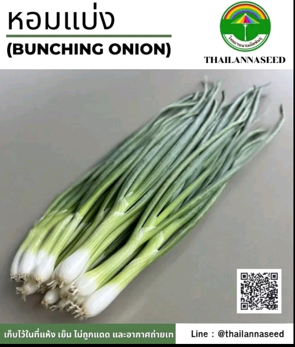 เมล็ดหอมแบ่ง0.5กรัม(รับ5,500แต้ม)