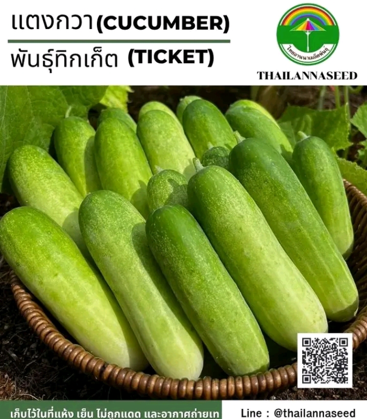 เมล็ดแตงกวาทิกเก็ต0.5(รับ5,500แต้ม)