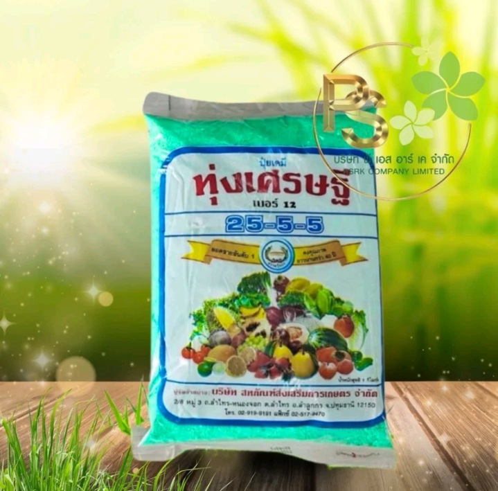 ปุ๋ยเศรษฐี ปุ๋ยเขียวสูตร 25-5-5   1,000กรัม(รับ9,750แต้ม)