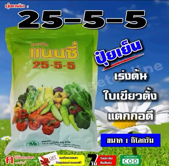 ปุ๋ยเกล็ด 25-5-5 ปุ๋ยเย็น ฮอร์โมนอาหารเสริมเร่งต้น1กก.(รับ7,750แต้ม)