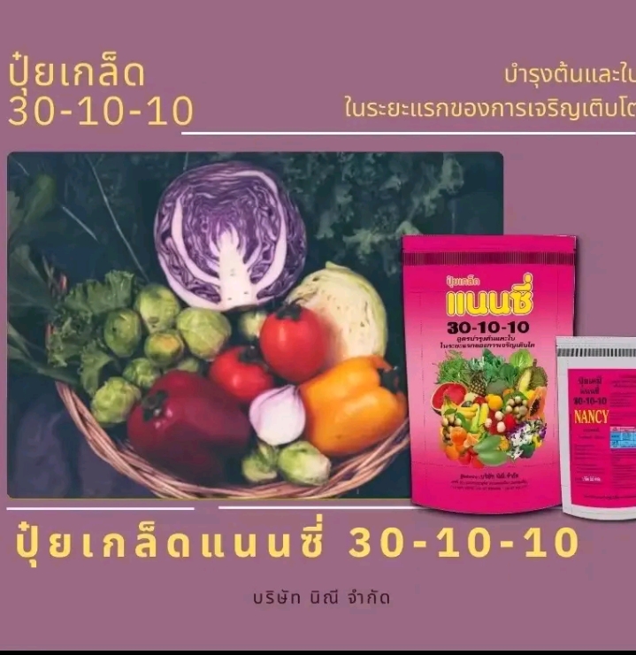 ปุ๋ยเกล็ด30-10-10ฉีดระยะแรก เร่งต้น เร่งเขียว กระตุ้นแตกกอ 1กก.(รับ8,250แต้ม)