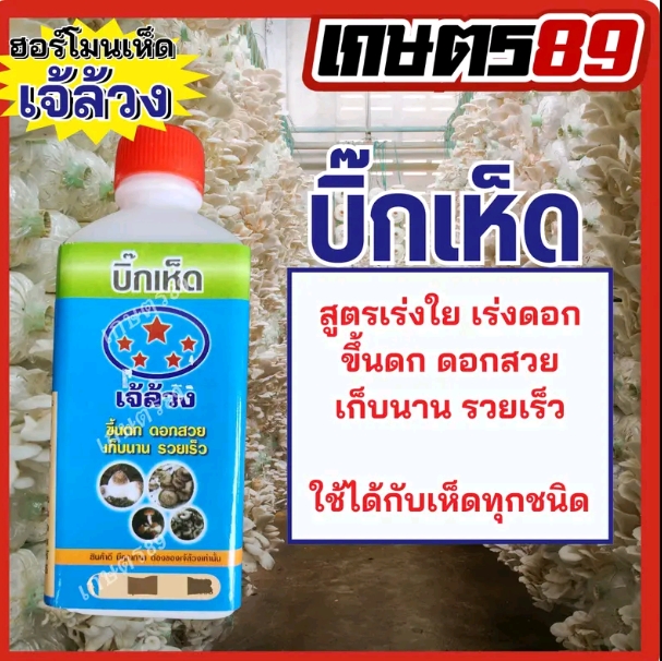 บิ๊กเห็ดสูตรเร่งใย เร่งดอกขึ้นดกดอกสวย เก็บนาน(8,750แต้ม)