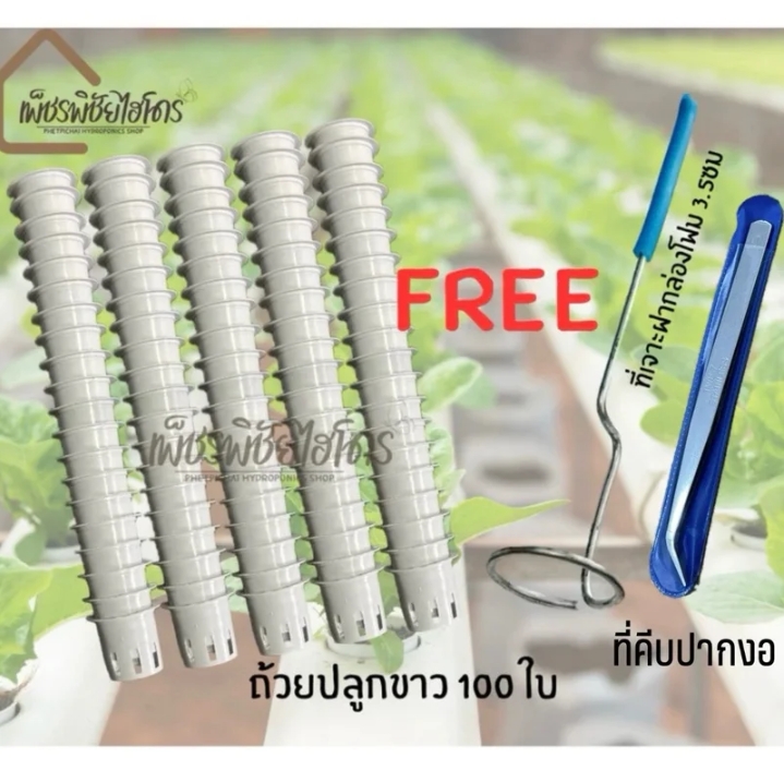 ถ้วยปลูกผักไฮโดรโปนิกส์100ใบ+ที่เจาะ+ที่คีบ(รับ8,200แต้ม)