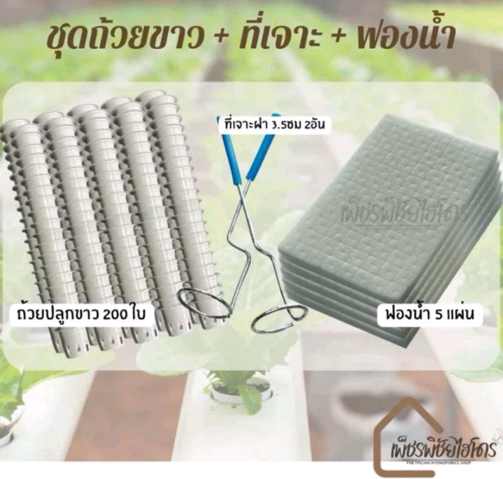 ถ้วยปลูกผักไฮโดรโปนิกส์200ใบ+ฟองน้ำ5+ที่เจาะ(รับ12,750แต้ม)