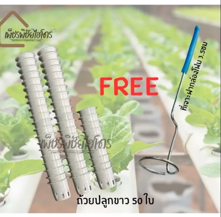 ชุดปลูกผักไฮโดรโปรนิกส์ถ้วย50ใบ+ที่เจาะ(รับ6,200แต้ม)