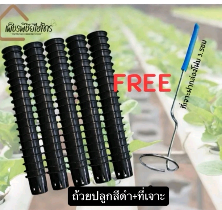 ถ้วยปลูกผักไฮโดรสีดำ 100 ใบ+ที่เจาะ(รับ8,200แต้ม)