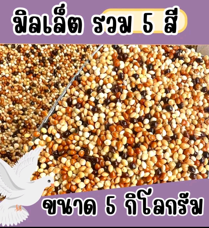 อาหารนกมิลเล็ตรวม5กก.(รับ16,200แต้ม)