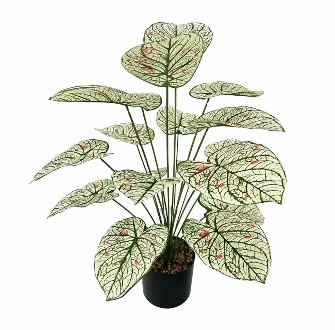 พร้อมส่ง* ต้นไม้ปลอม พร้อมกระถางสีดำ 5นิ้ว แถมฟรี Monstera 18ใบ ใบใหญ่ สูง75-80cm ต้น ไม้ประดิษฐ์ขนาดใหญ่ มอนสเตอร่าด่าง ตกแต่งบ้านแต่งสวน ส่งที่ไทยค่ะ ต้นไทรใบสักเสม Flowers (รับ 10,700 แต้ม)