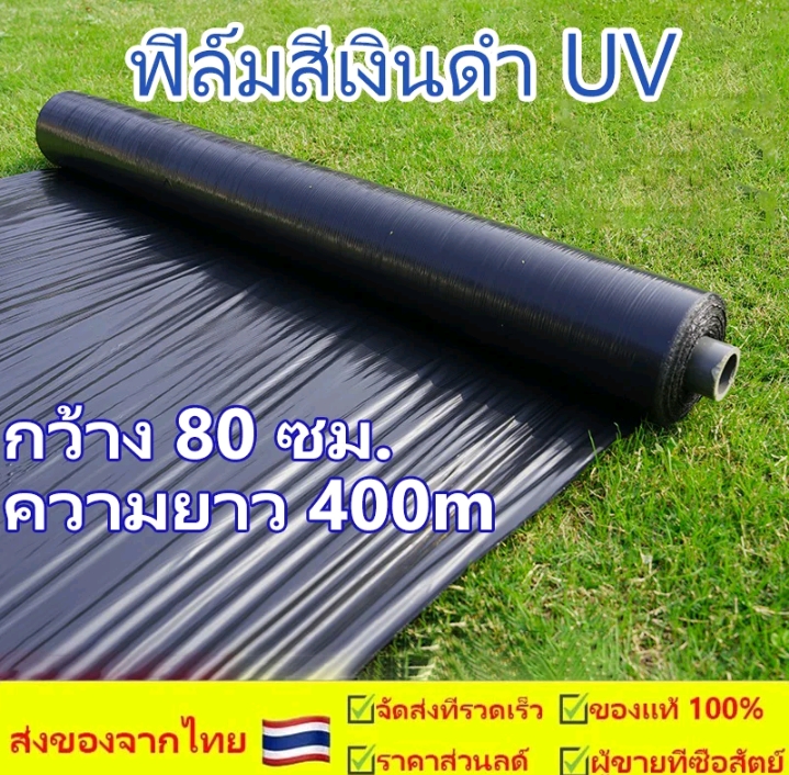 TK florist พลาสติกคลุมดินใช้คลุมแปลง คลุมวัชพืชกว้าง80เซนติเมตร(รับ30750แต้ม)
