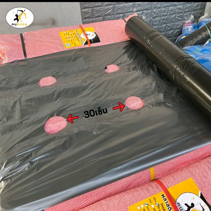 พลาสติกคลุมดินกว้าง 1.2 เมตรยาว 400 หลา เจาะรูคู่ห่าง30ซม.(รับ47750แต้ม)