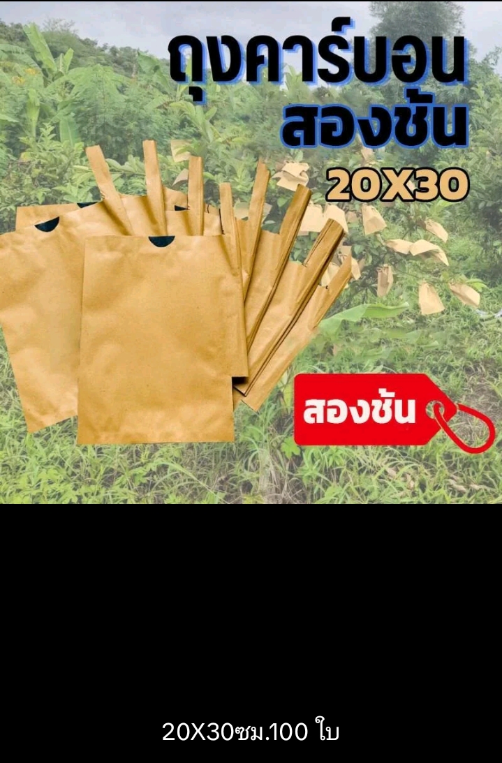 ถุงห่อฝรั่งมะม่วงคาร์บอน 20 * 30 เซนติเมตร 100 ใบแพ็ค 2 ชั้นแต่แมลงวันทองป้องกันผลไม้จากศัตรูพืช