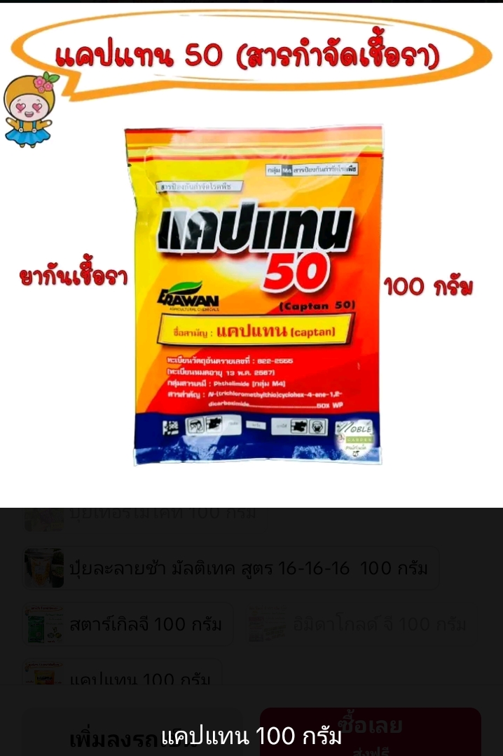 แคปแทน 50สารกำจัดเชื้อรา 100กรัม (รับ8200แต้ม)