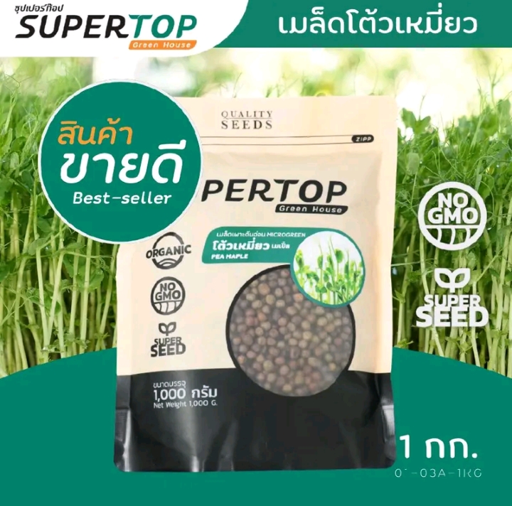 เมล็ดเพาะเลี้ยงต้นอ่อนโค้งเหมี่ยวพันธุ์เมเปิ้ล1กก.(รับ11,200แต้ม)