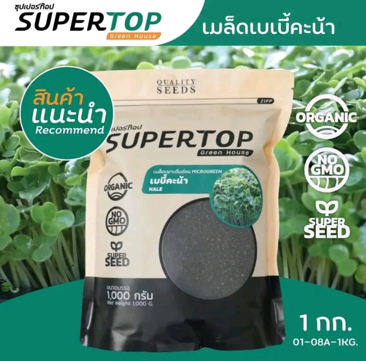 เมล็ดเพาะต้นอ่อนเบบี้คะน้า1กก.(รับ18,250แต้ม)