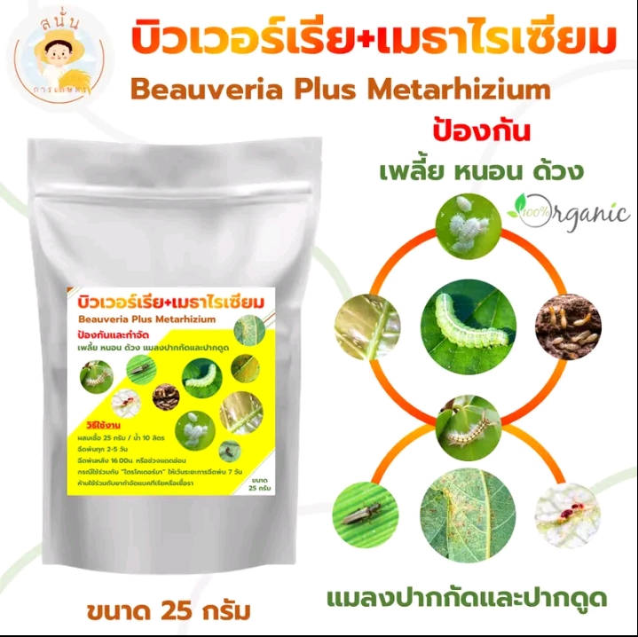 บิวเวอร์เรีย + เมทาไรเซียมป้องกันเพลี้ยหนอนด้วง(รับ8150แต้ม)